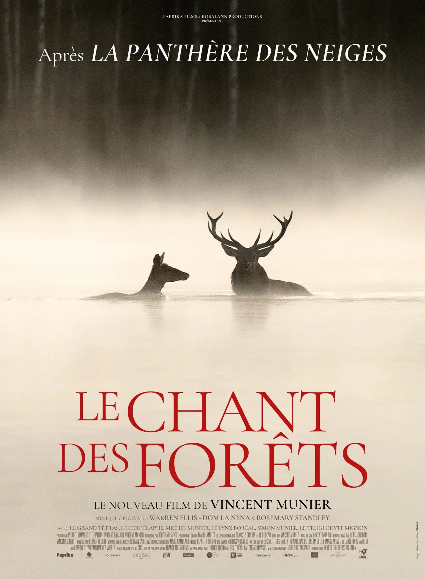 Au cinéma Le Cigalon : LE CHANT DES FORÊTS