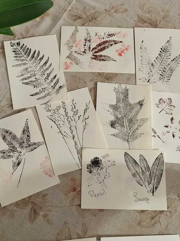 Atelier "empreintes végétales sur papier"