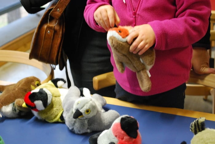 COMPLET | Les oiseaux pour les 3-5 ans